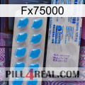 Fx75000 new15